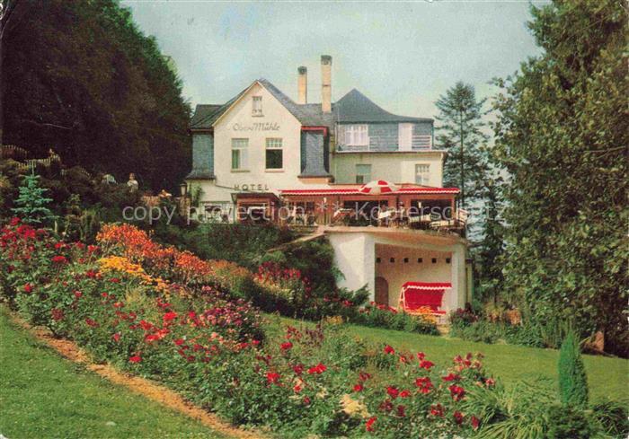 Rengsdorf Hotel Obere Muehle Park