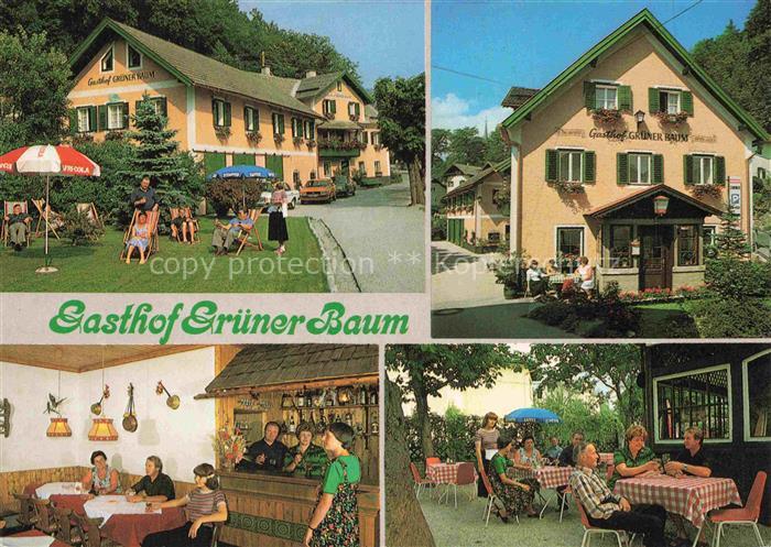 Golling Salzach AT Gasthof Gruener Baum Gaststube Terrasse Liegewiese