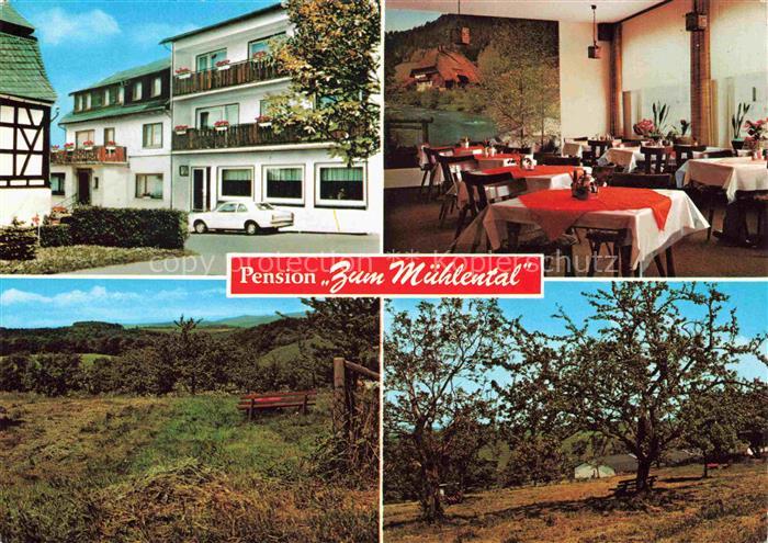 Moerz Pension Zum Muehlental Gaststube Landschaf