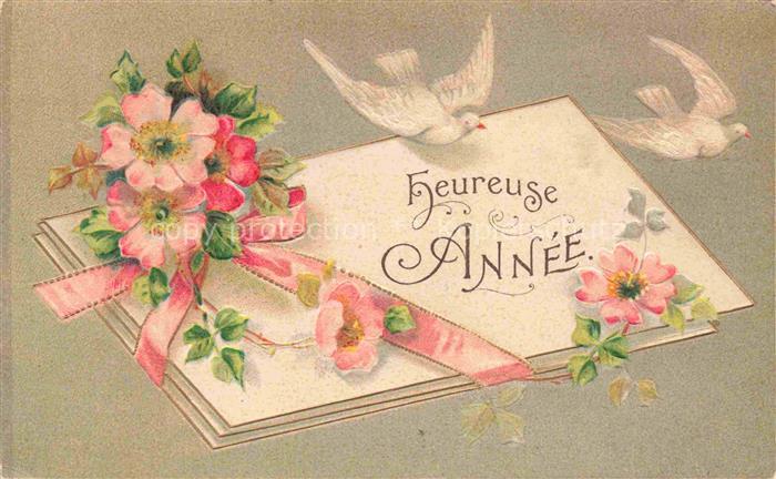 Tauben Pigeons Palomas-- Brief