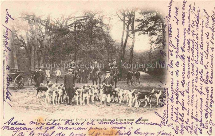 Jagd Chasse Hunting Chasse Courre Foret Fontainebleau