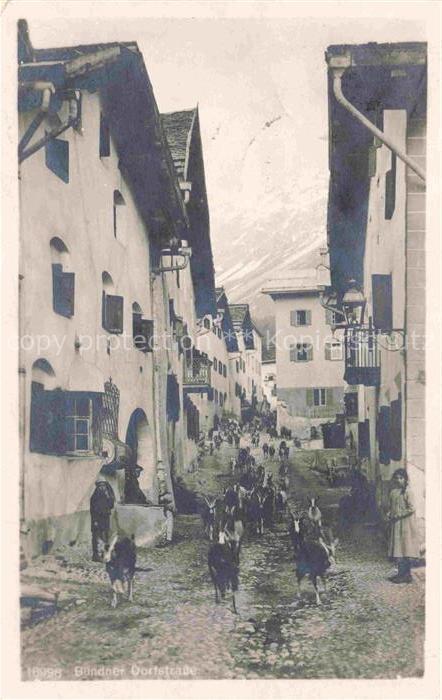 Ziege Goat Chevre-- Buendner Dorfstrasse