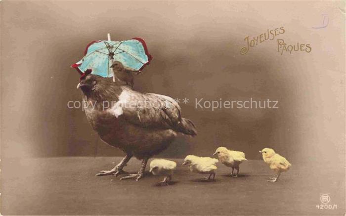 Foto RPH Nr. 4200/1 Ostern Paques Küken Huhn
