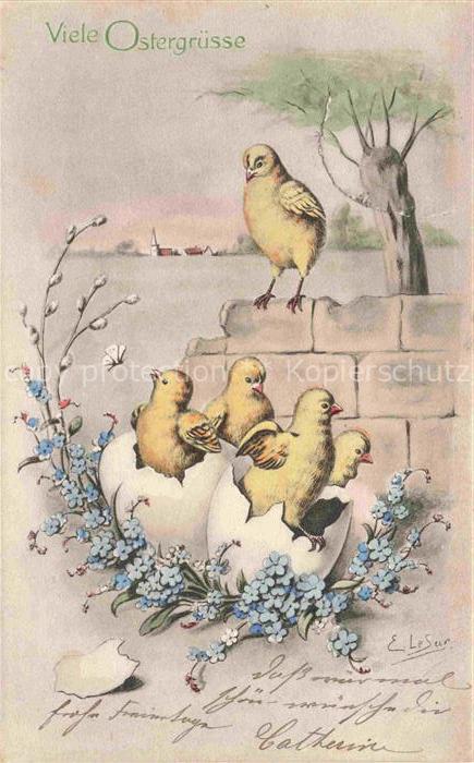 Ostern Easter Paques Pasqua-- Kueken