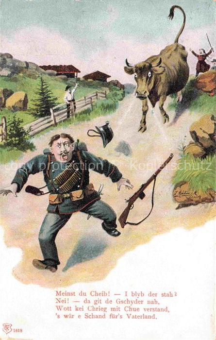 Militaria Schweiz Stier Soldat