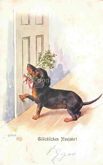 Dackel Dachshund Teckel Hunde dogs Chiens Cani Neujahr