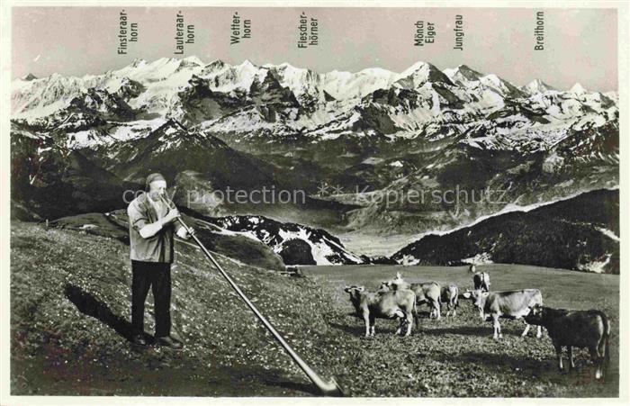 Alphorn Cor des Alpes-- Pilatus Kulm Jos Kuster Kuehe