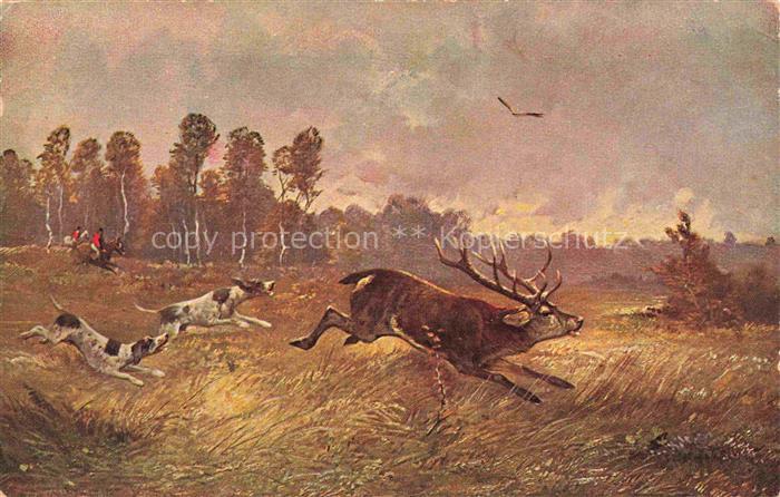 Jagd Chasse Hunting Hunde Hirsch
