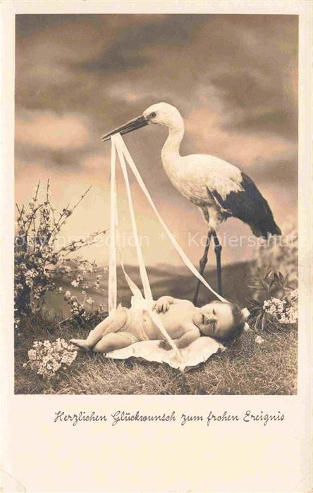 Foto Amag Nr. 67720/2 Stroch Cigogne Baby Vogel