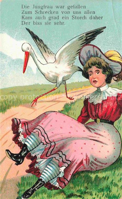 Voegel Birds Oiseaux Stroch Cigogne Frau