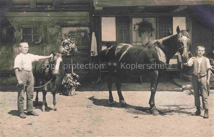 PFERDE Horses Cheval Kinder