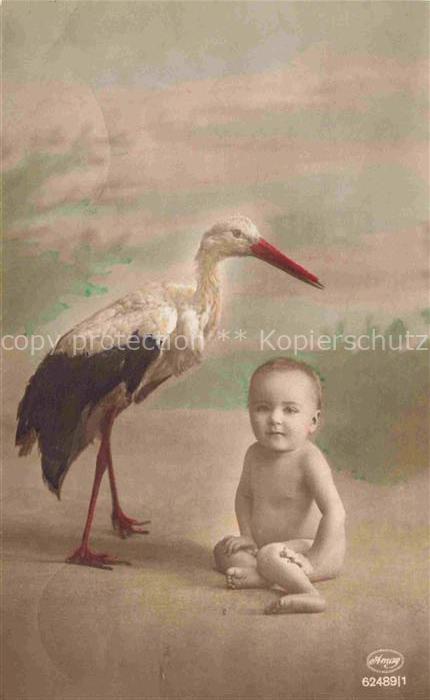 Foto Amag Nr. 62489/1 Storch Cigogne Baby