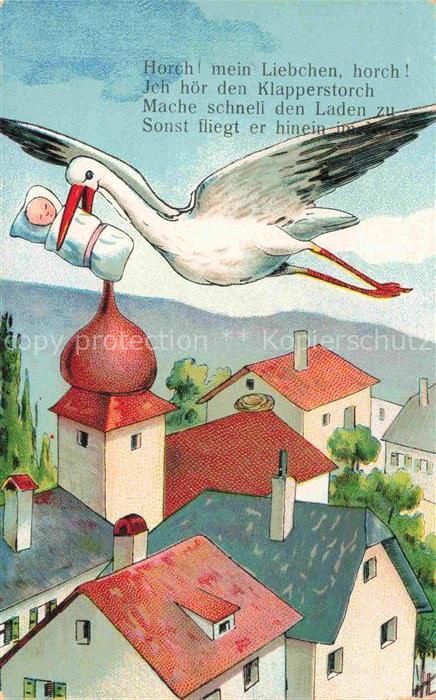 Voegel Birds Oiseaux Storch Cigogne Baby