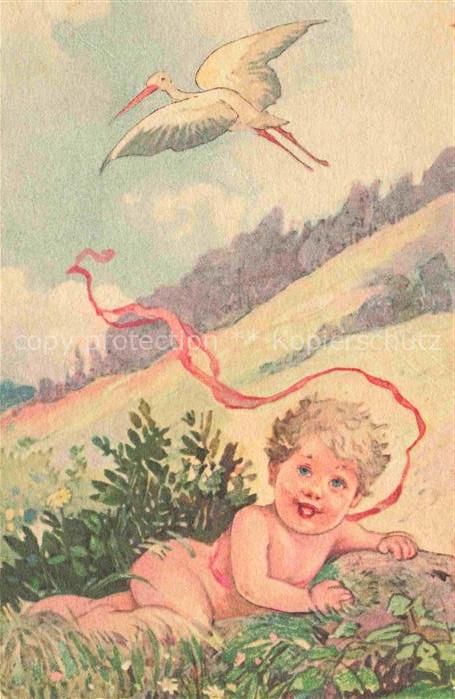 Voegel Birds Oiseaux Storch Cigogne Baby Litho