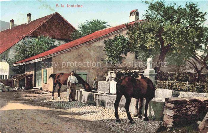 Landwirtschaft Schweiz Pferde Fontaine