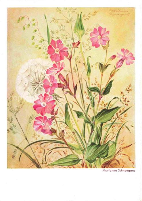 SCHNEEGANS Marianne (1904-1997) Kuenstlerkarte Blumen