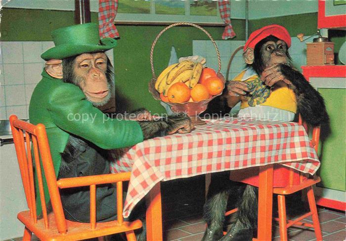 Affen Monkeys Singes Monos Scimmie-- Obst Hut