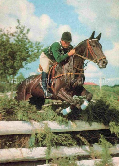 Reitsport Pferdesport Pferderennen Military Cavalier