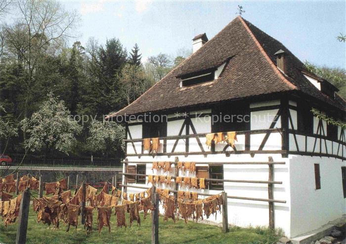 BIBERACH  Riss BW Weissgerberwalk