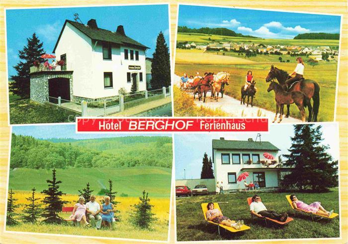 Berghausen Katzenelnbogen Hotel Berghof Ferienhaus Pferde Kutschfahrt Panorama L