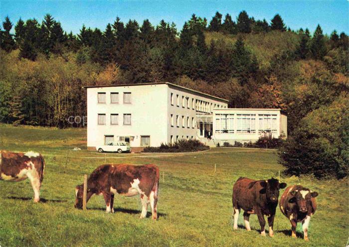 Rehe Westerwald Rheinland-Pfalz Stiftung Christliches Erholungsheim Westerwald