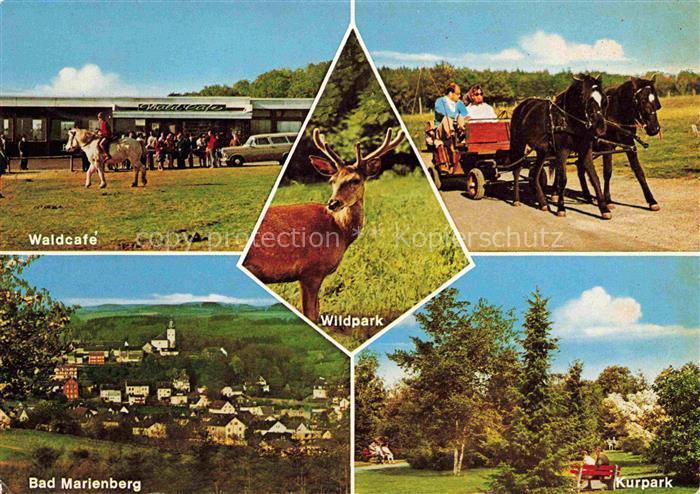 Bad Marienberg Waldcafe Wildpark Kutschfahrt Panorama Kurpark