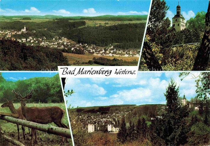 Bad Marienberg Panorama Kirche Rehe