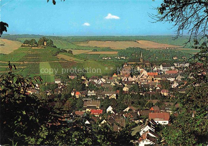 Weinsberg HEILBRONN BW an der Weibertreu