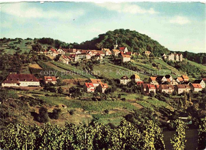 Loewenstein Heilbronn BW Panorama Weinstaedtchen