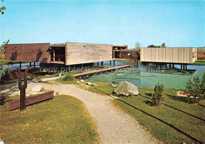 Bad Buchau Federsee Biberach BW Federseemuseum