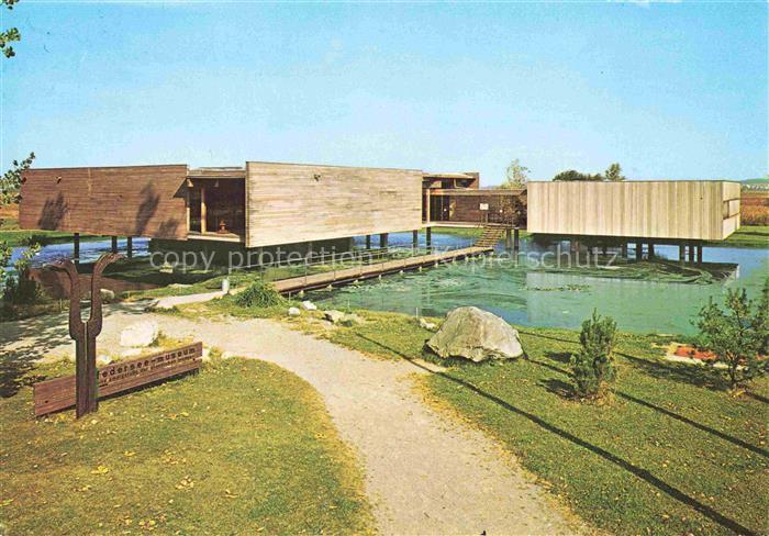 Bad Buchau Federsee Biberach BW Federseemuseum