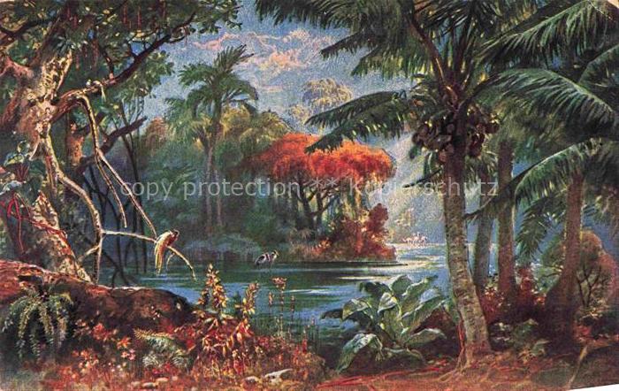 Kamerun Cameroun Palmengarten