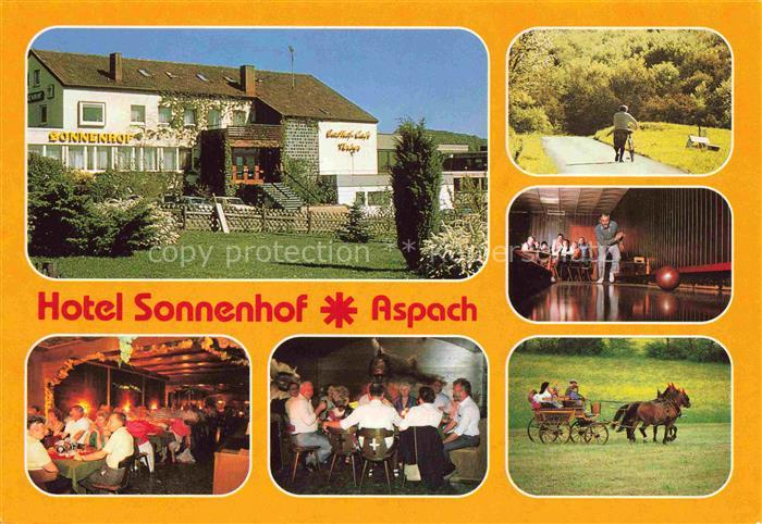 Kleinaspach Aspach BW Hotel Sonnenhof Gastraeume Kutschfahrt Kegelbahn Waldparti