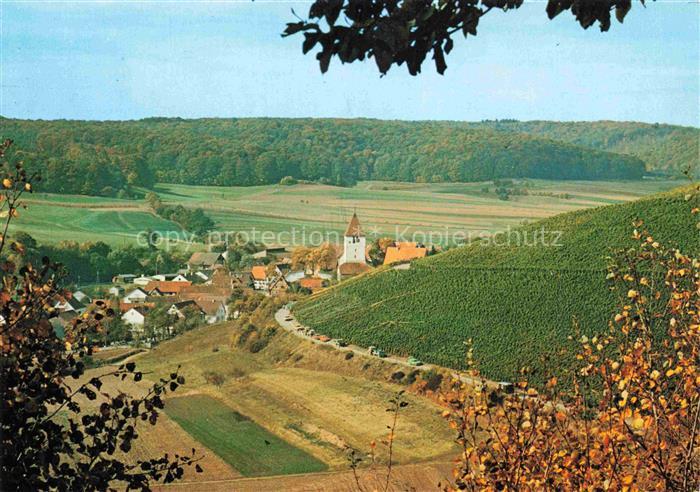 Sachsenheim Panorama Haefnerhaslach