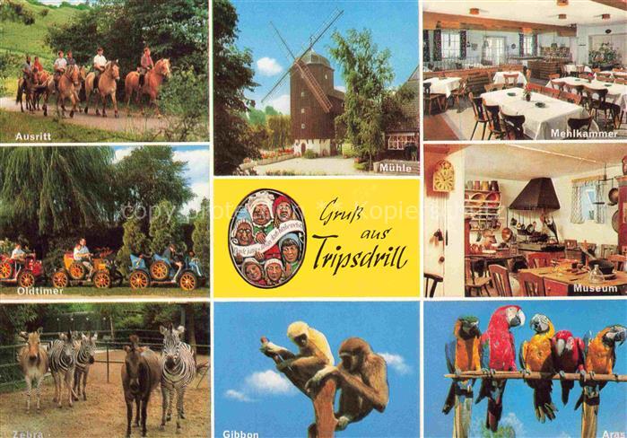 Tripsdrill Cleebronn Altweibermuehle Ausritt Mehlkammer Oldtimer Museum Gibon Ze