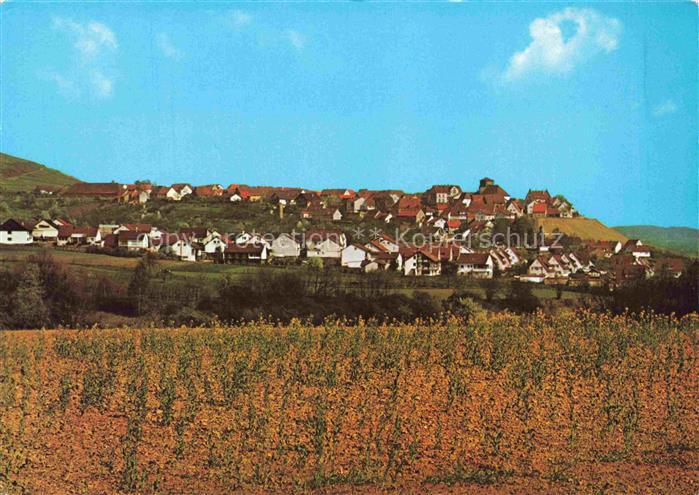 Sachsenheim Panorama Hohenhaslach