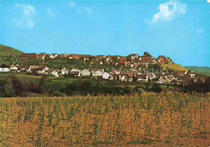 Hohenhaslach Panorama
