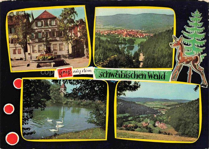 Murrhardt Rems-Murr-Kreis BW Marktplatz Waldsee Fornsbach Feuersee Blick von Son