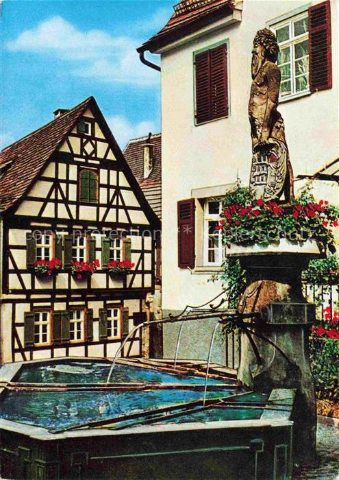Marbach  Neckar Wilder Mann Brunnen mit Schiller Geburtshaus