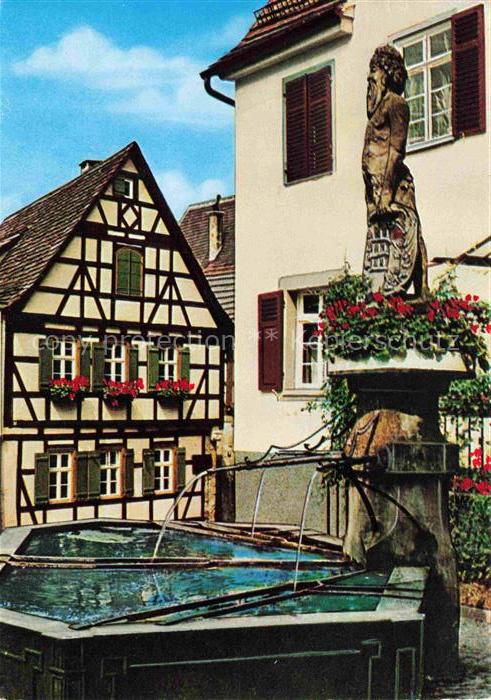 Marbach  Neckar Wilder Mann Brunnen mit Schiller Geburtshaus