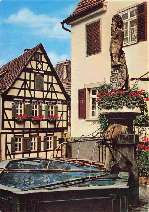 Marbach  Neckar Wilder Mann Brunnen mit Schiller Geburtshaus