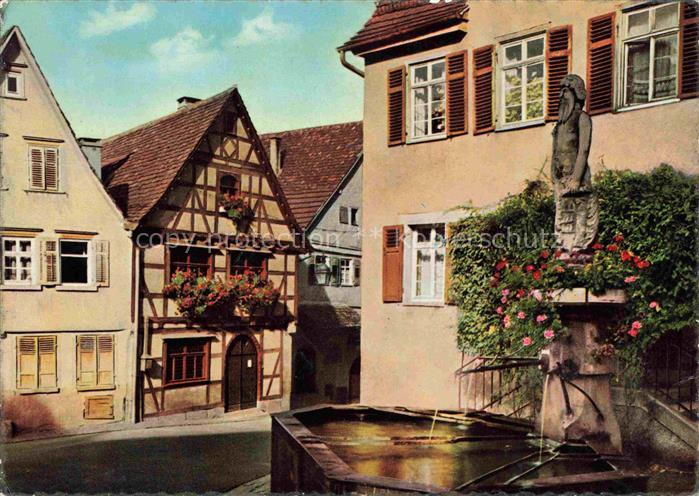 Marbach  Neckar Wilder Mann Brunnen mit Schiller Geburtshaus