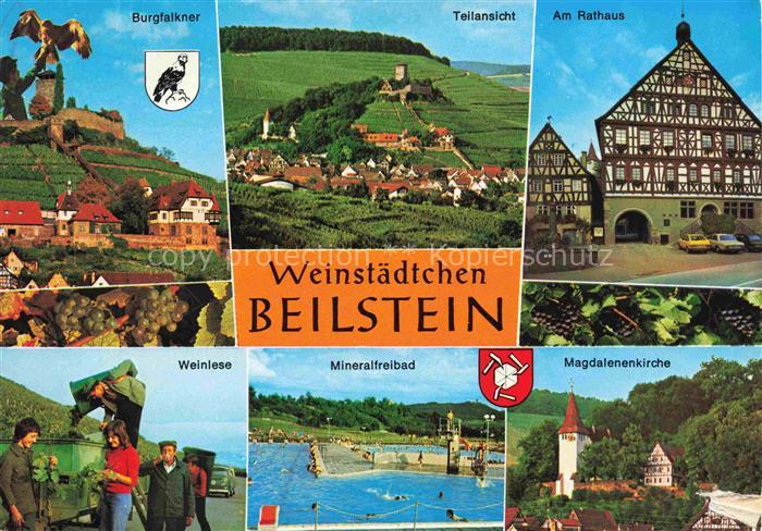 Beilstein Wuerttemberg Burgfalkner Panorama Rathaus Weinlese Mineralfreibad Magd