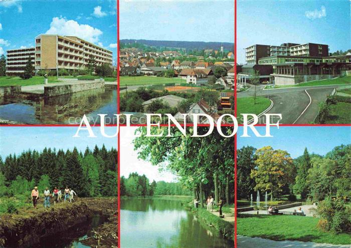 Aulendorf Parksanatorium Panorama Wald und Seepartie