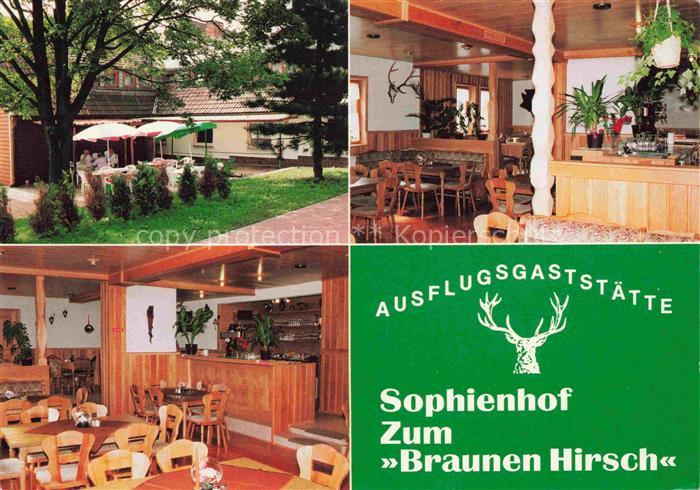 Sophienhof Harztor Ausflugsgaststaette zum brauen Hirsch Gastraum Terrasse