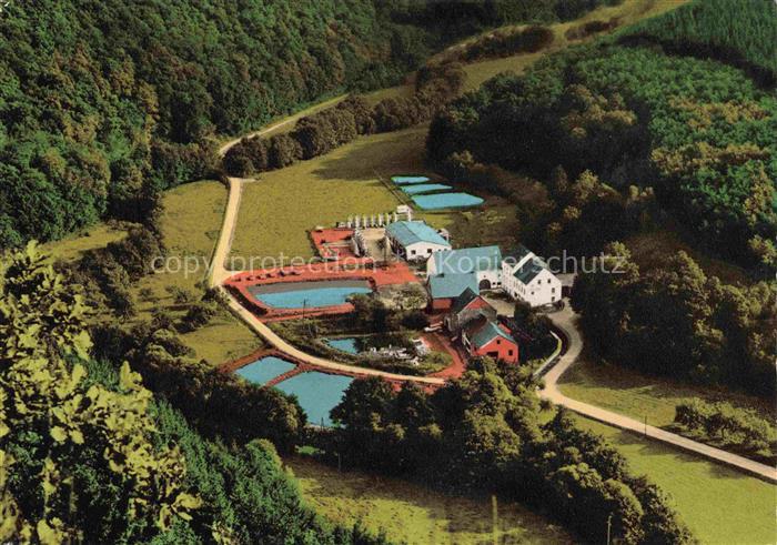 Bescheid Hermeskeil Gasthaus Pension Forellenhof Bescheider Muehle Forellenzucht