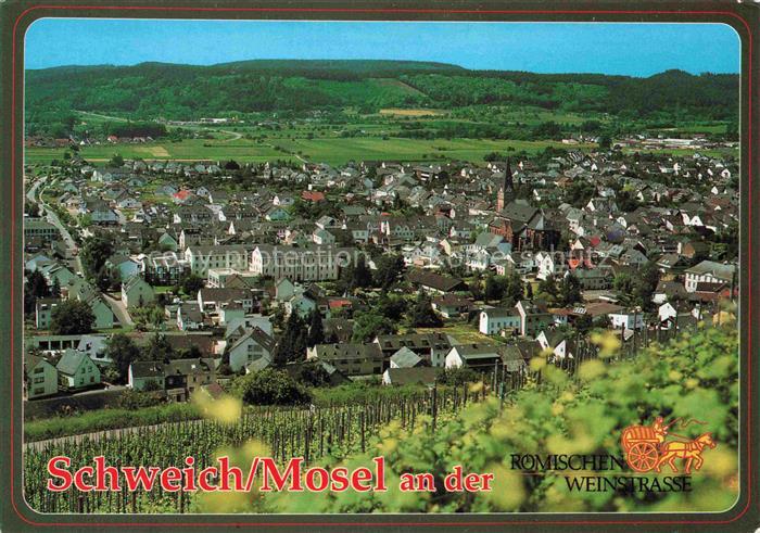Schweich Mosel Panorama