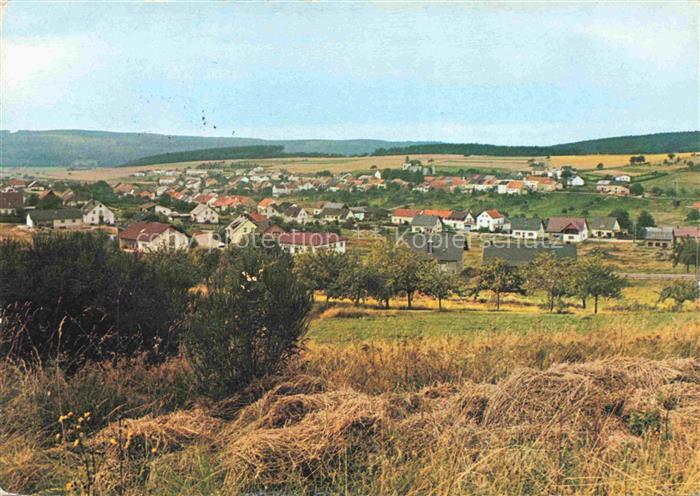 Greimerath Trier Panorama Schwarzwaelder Hochwald