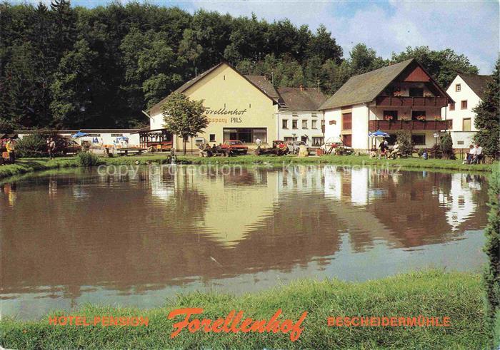 Bescheid Hermeskeil Hotel Pension Forellenhof Bescheidermuehle Forellenzucht
