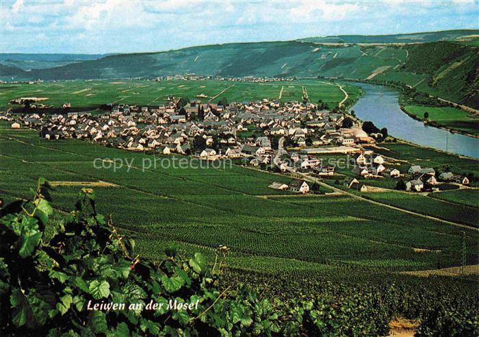 Leiwen Mosel Panorama Weinort an der Mosel